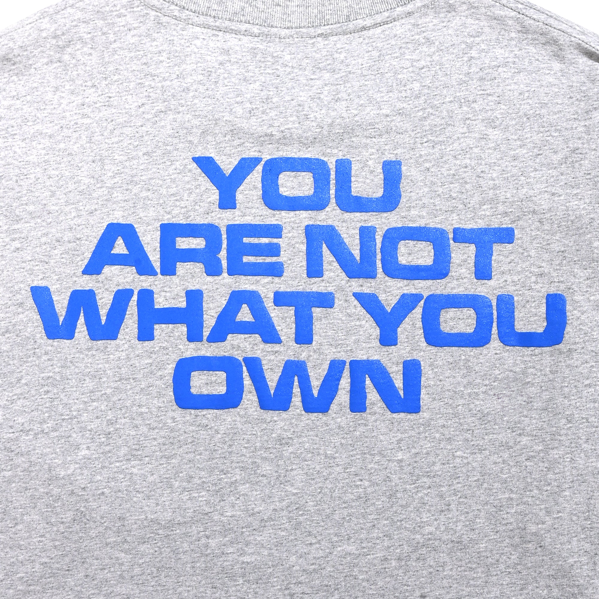 AVARICE L/S GFX T-Shirt [Heather Grey]