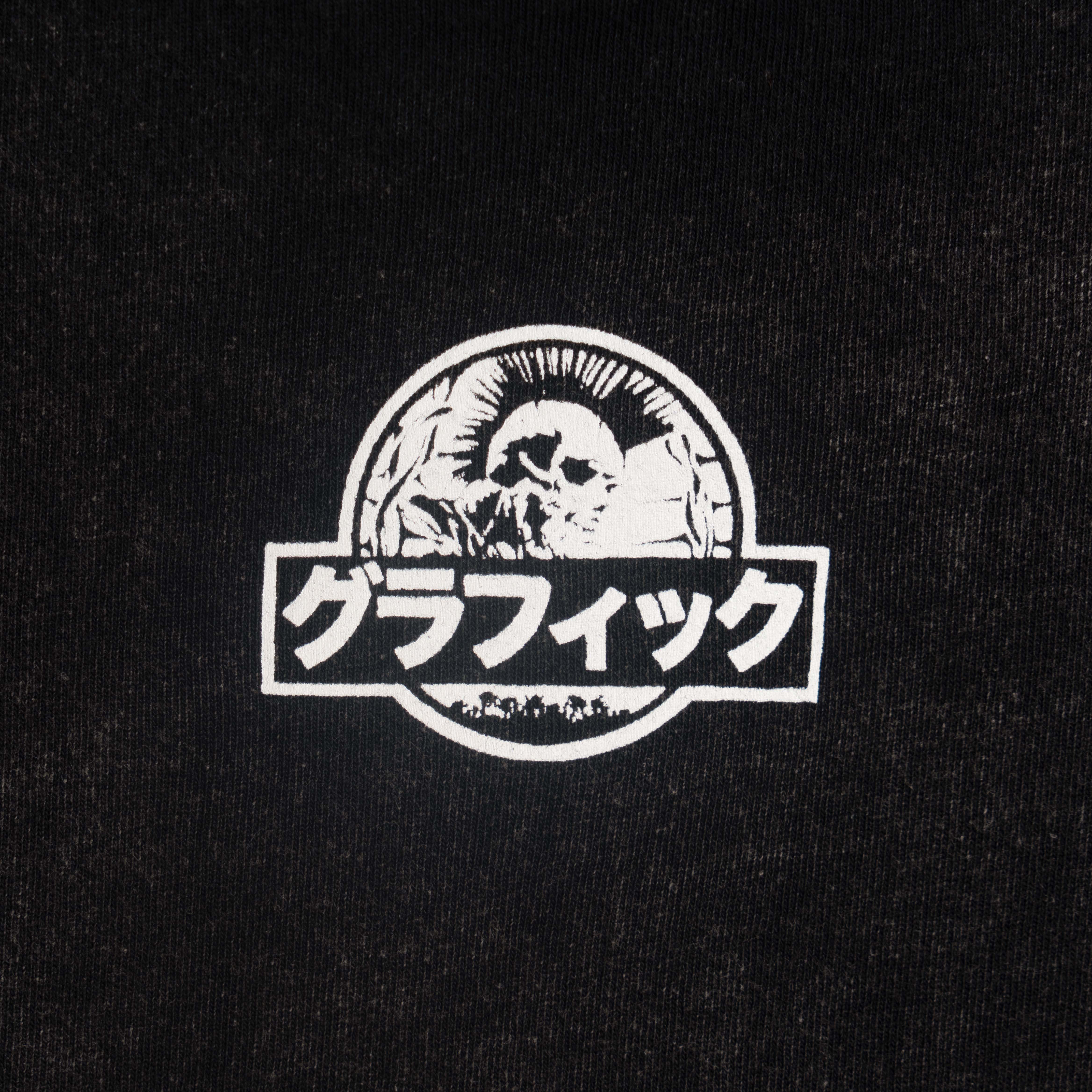FOSSIL GFX T-Shirt [Washed Black]